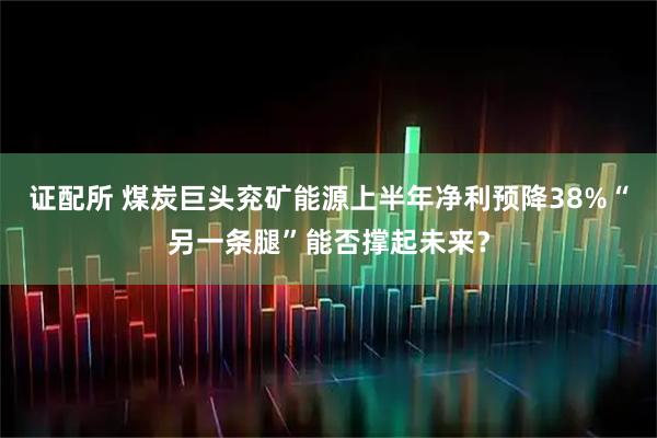 证配所 煤炭巨头兖矿能源上半年净利预降38%“另一条腿”能否撑起未来?